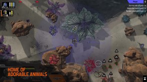 Video 2