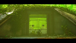 Video 3
