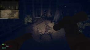 Video 5