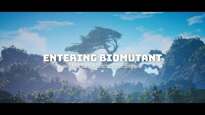 Video 4