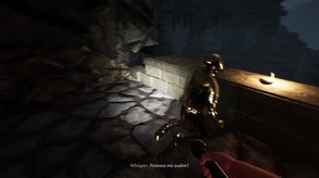 Video 4