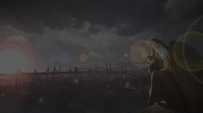 Video 6