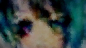 Video 2