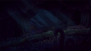 Video 3