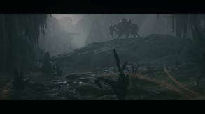 Video 3