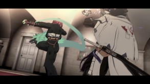 Video 13