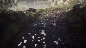 Video 6