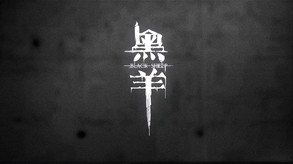 Video 4