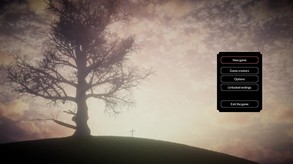 Video 3