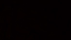 Video 2