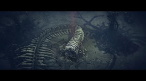 Video 2