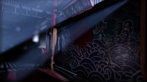 Video 3