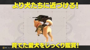 Video 2
