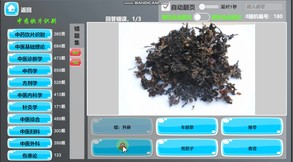 Video 2