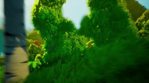 Video 1