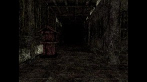 Video 3