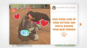 Video 1