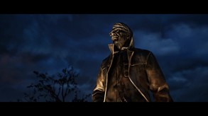 Video 11