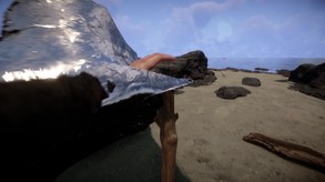 Video 2