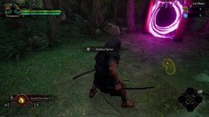 Video 6