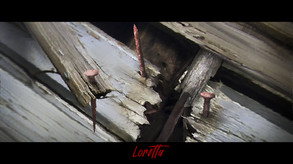 Video 3