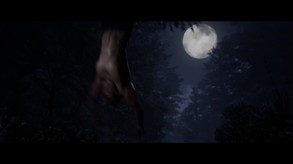Video 3