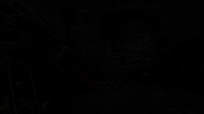 Video 2