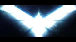 Video 8