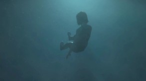 Video 2