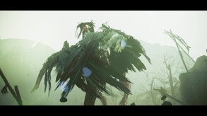Video 8