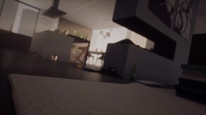 Video 4
