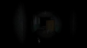 Video 5
