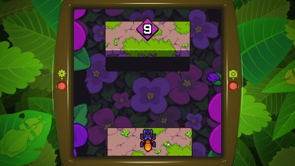 Video 1