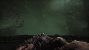 Video 1