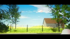 Video 2