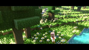 Video 3