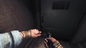 Video 7