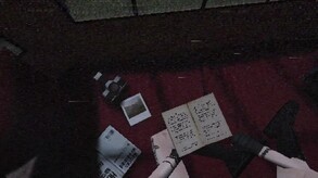 Video 5