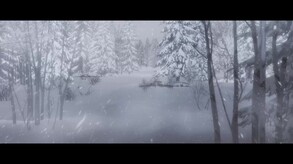 Video 2