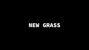 Video 11