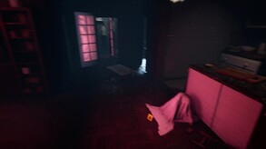 Video 2
