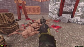 Video 12