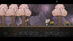 Video 4
