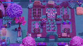 Video 5