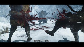 Video 4