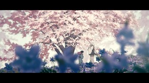 Video 6