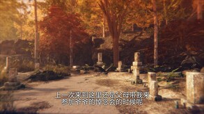 Video 1