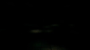 Video 2