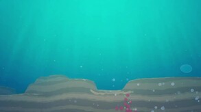Video 3