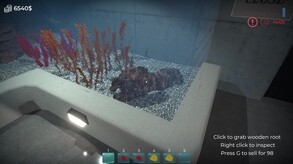 Video 25